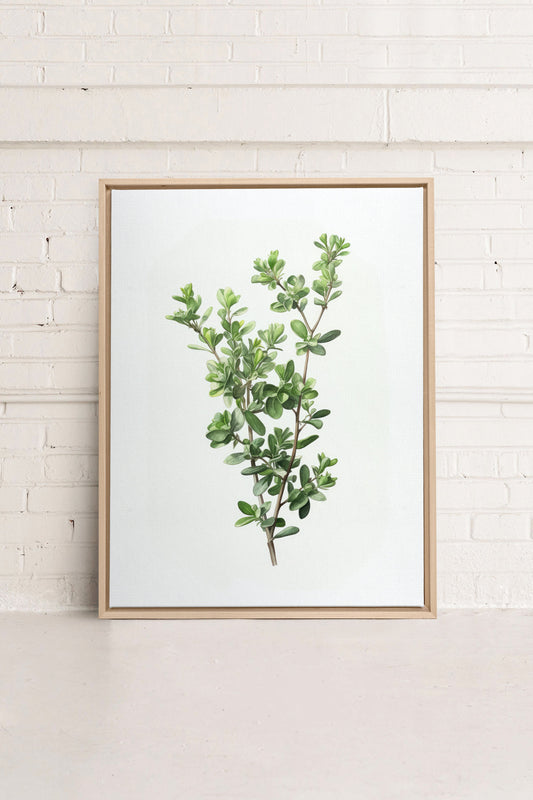 THYMARIS, Oeuvre sur toile étirée