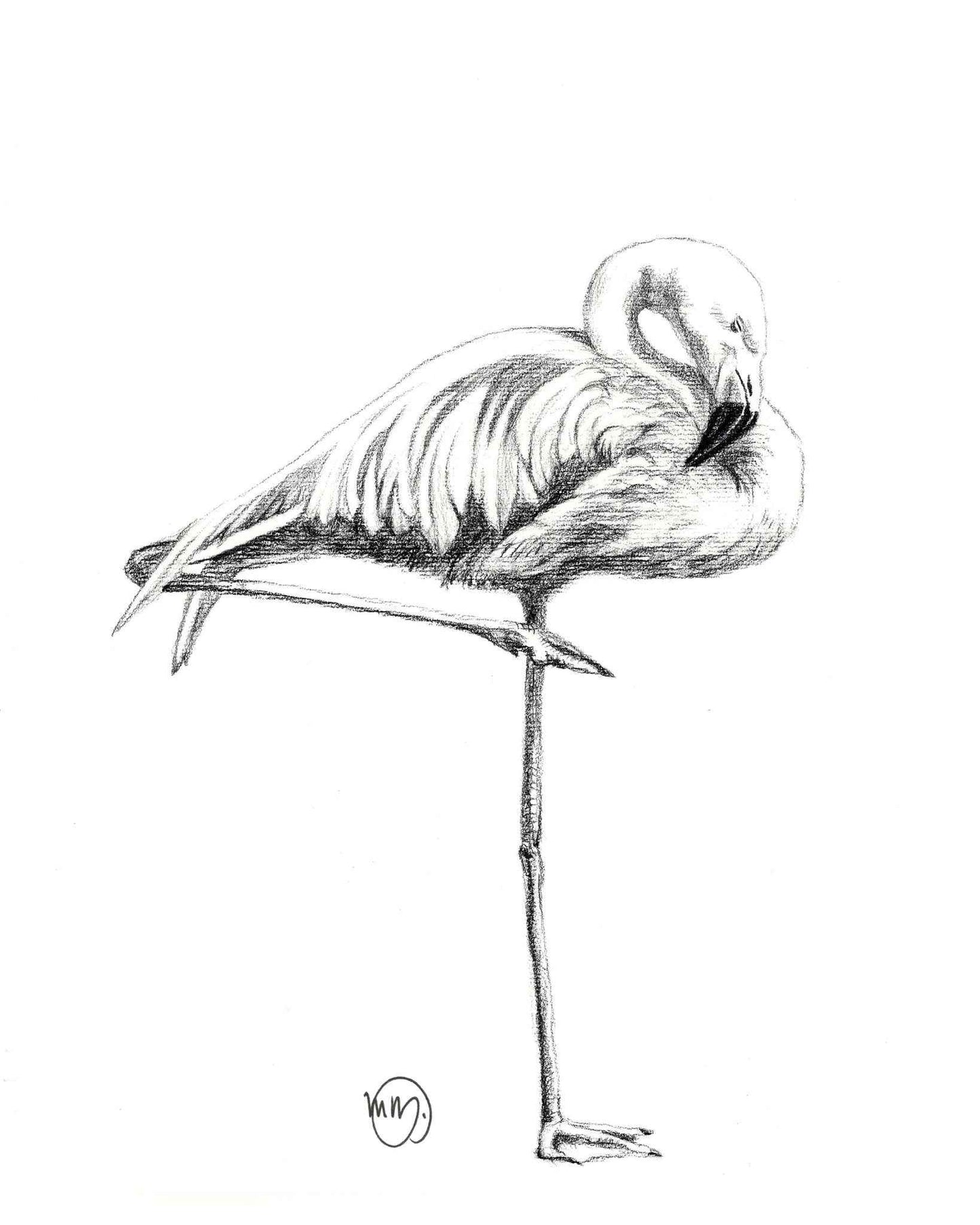 Beautiful Pink Flamingo Greeting Card