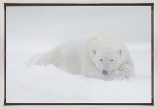 Wall art White