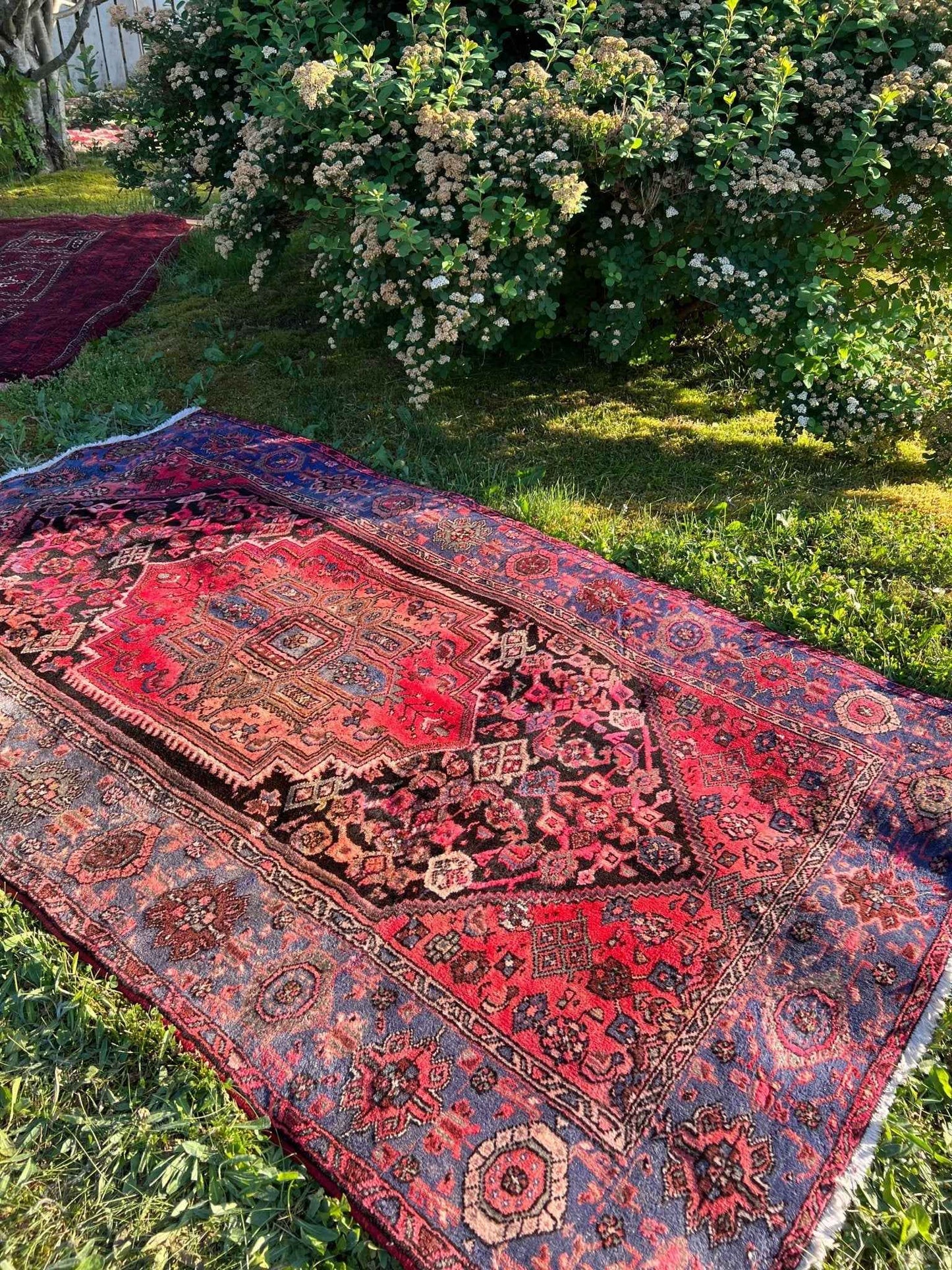 Persian Qoltoq Rug | 4' 3" x 7' 3"