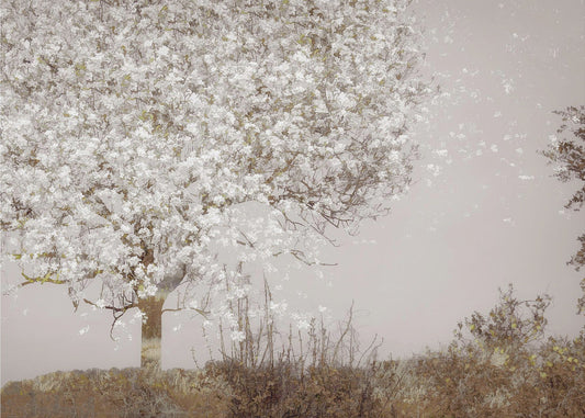 Wall art Fruit tree