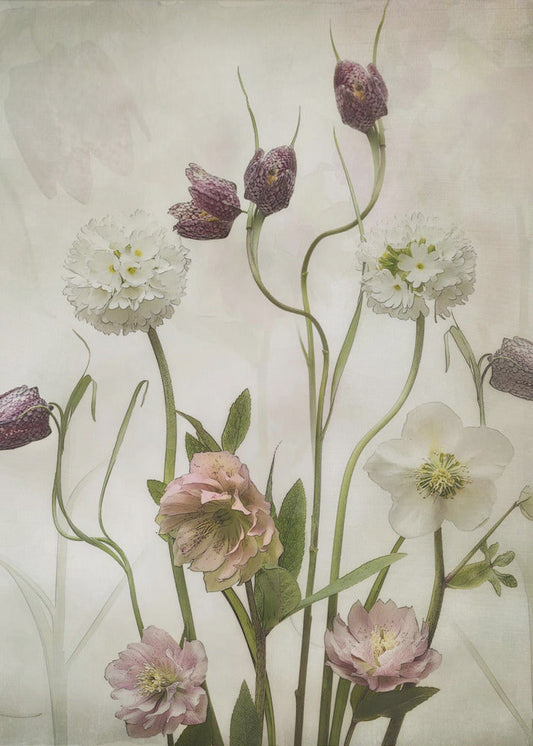 Spring Garden