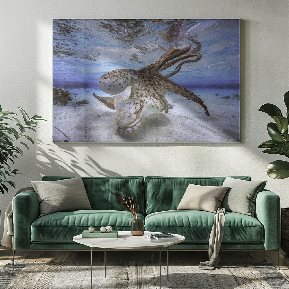 Wall Art Dancing Octopus