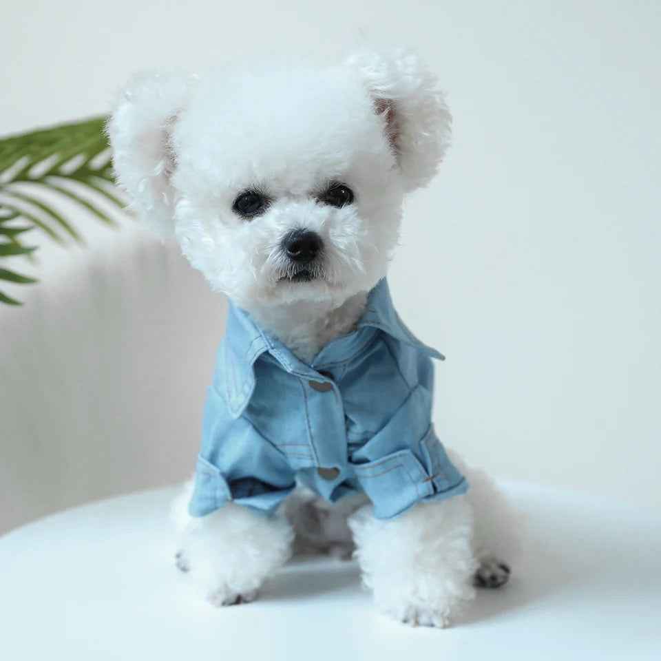 Denim Dog Tee | Casual Dog T-Shirt Outfit