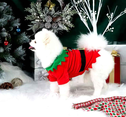 Elf Christmas Outfit – Festive Holiday Costume for Dogs
