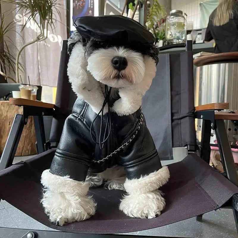 Leather Dog Jacket | Classic Dog Biker Jacket