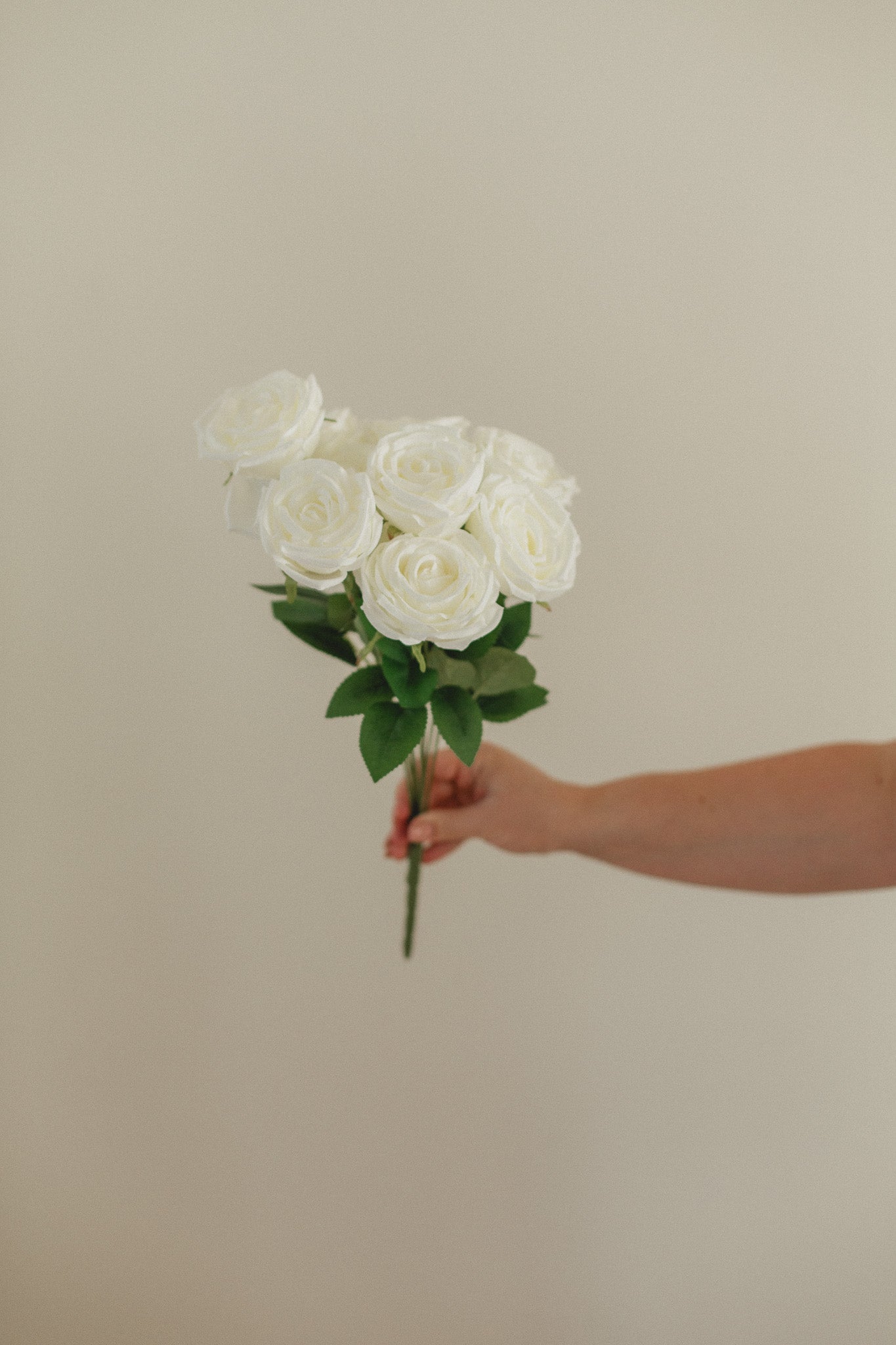 New Rose Bundle