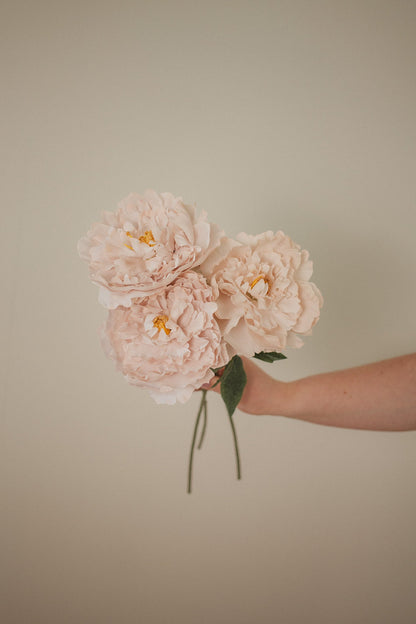 London Peony