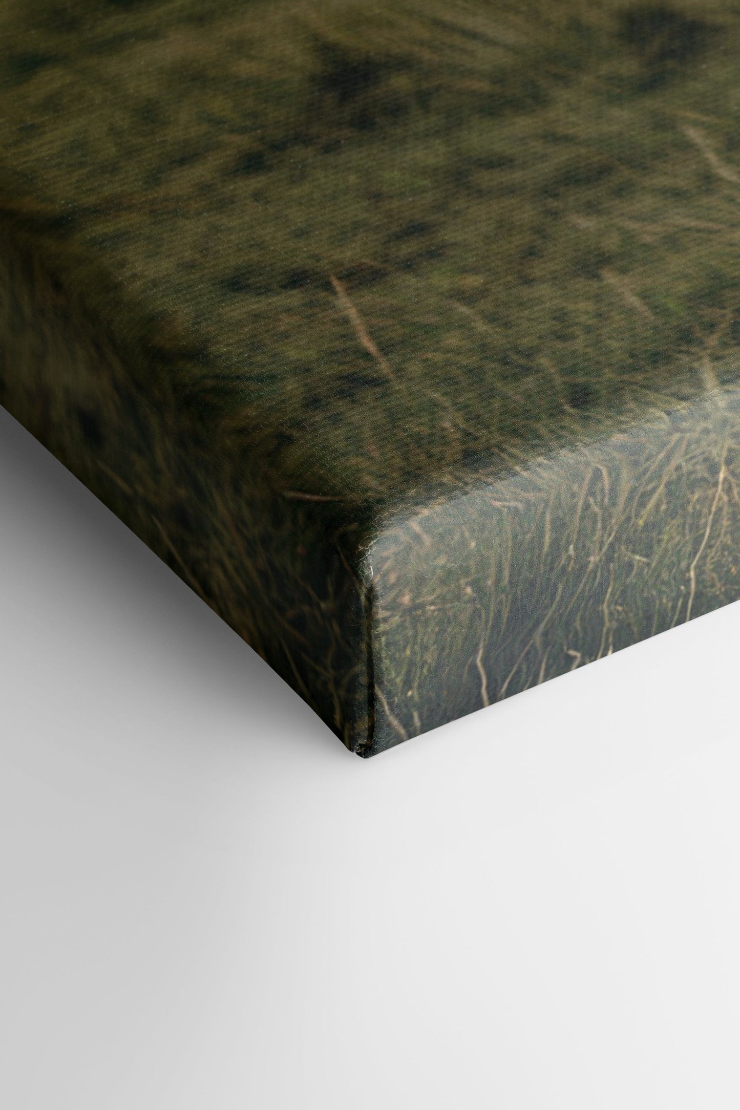 SPIRIT OF THE MEADOW, Oeuvre sur toile étirée
