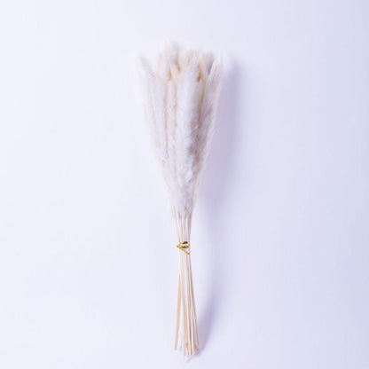 Beige Pampas Bouquet 26'' (Set Of 30)