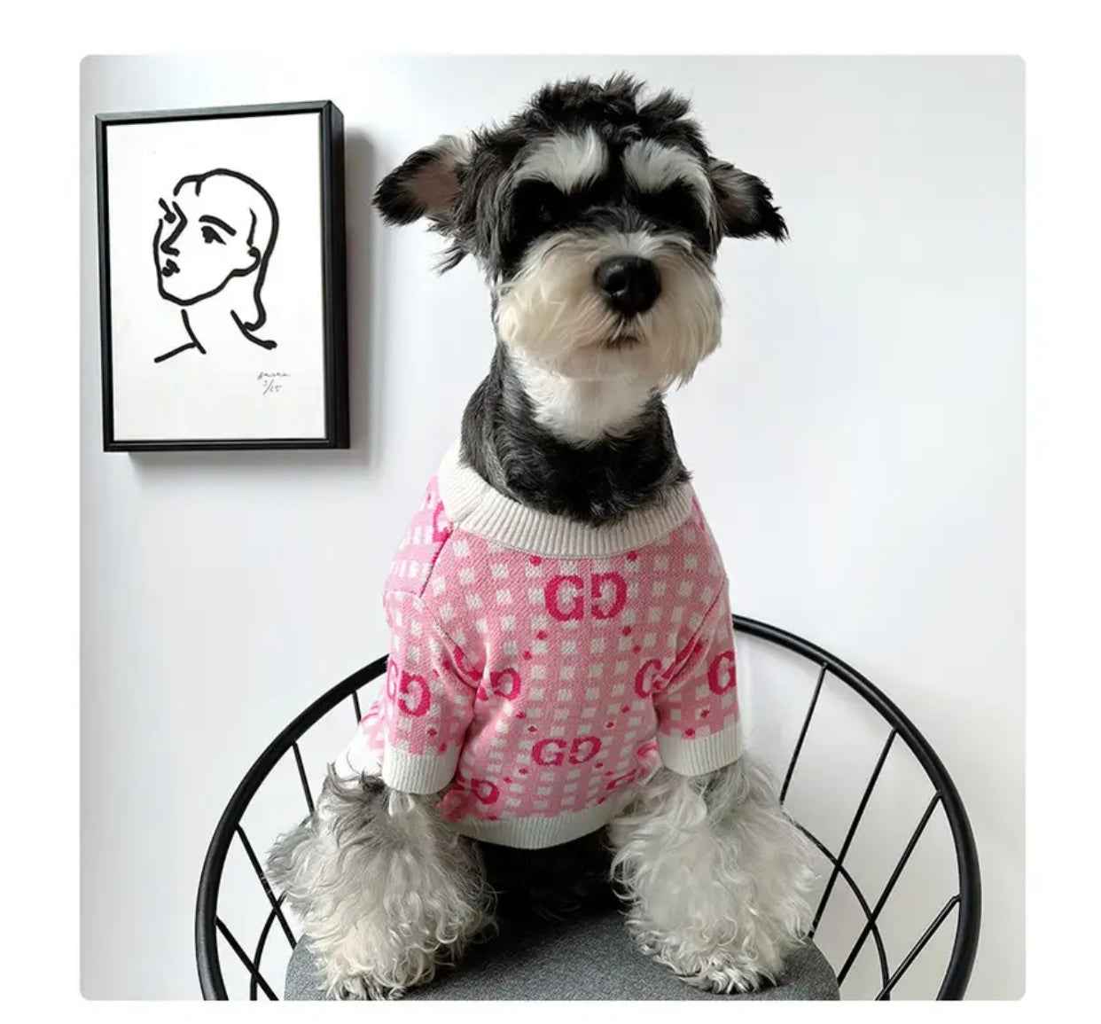 Dog Knit Sweater | Gigi Luxury Dog Sweater