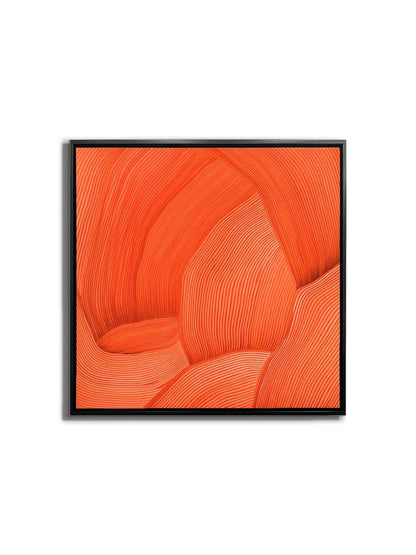 3D Line Drawing 36" x 36" Fine Art Canvas