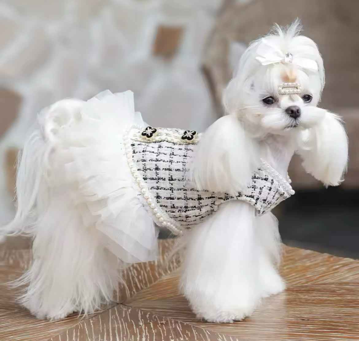 Coco Chewnel Dress – Luxury Tweed Dog Dress