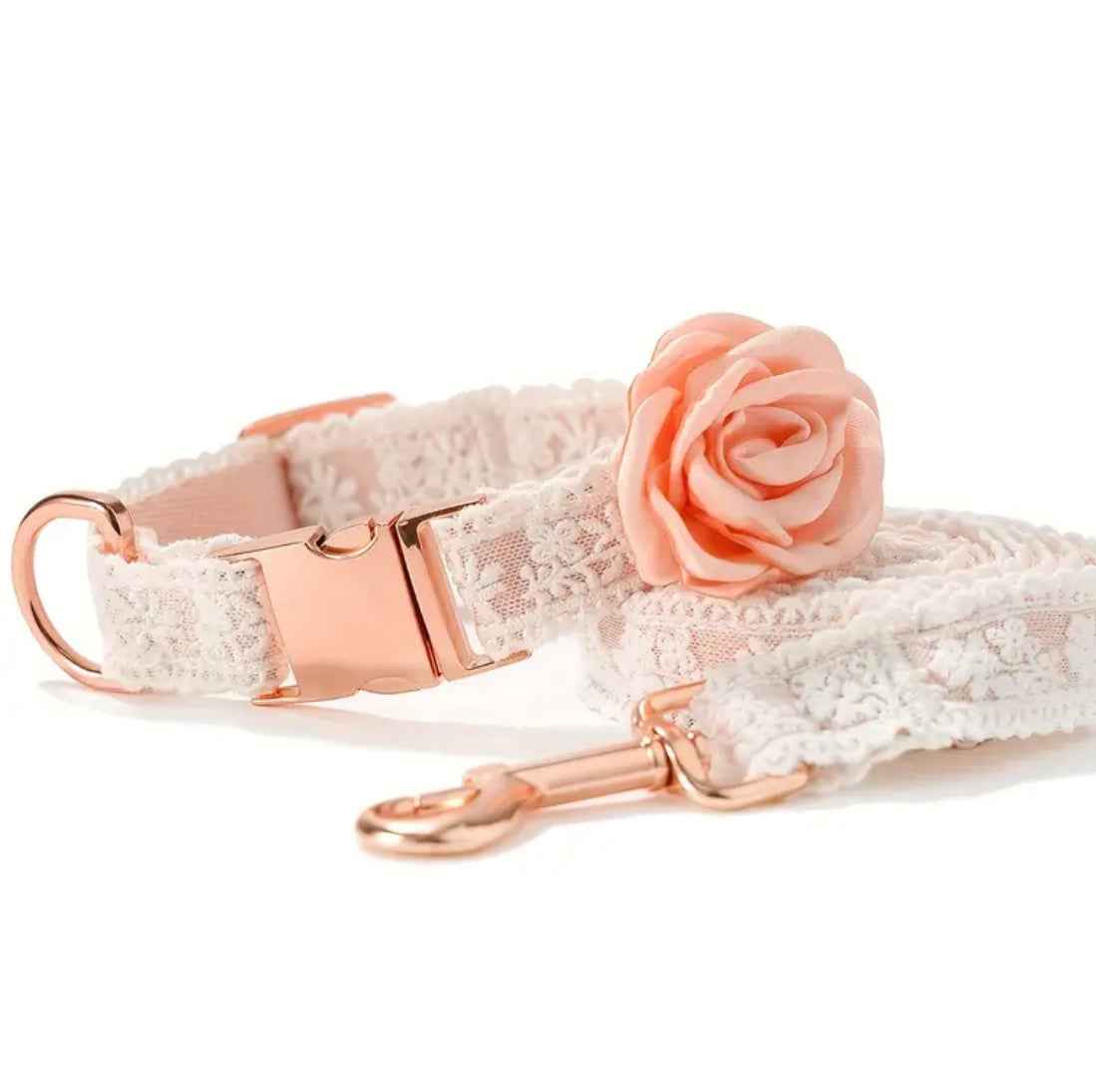 Enchanted Collar & Leash Set | Dog Collar and Leash