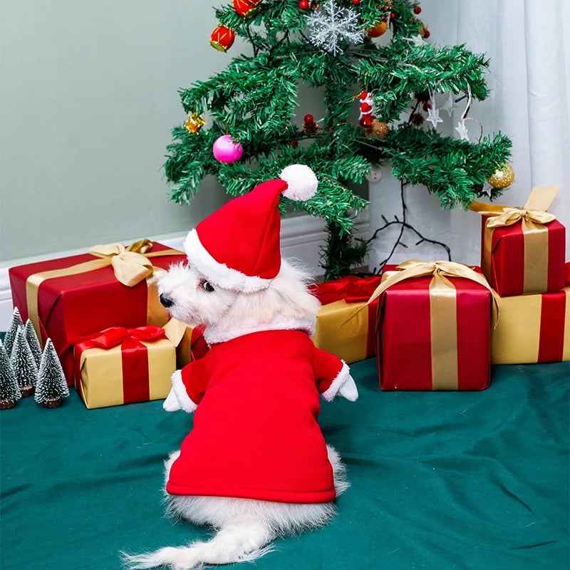 Santa Claws Is Coming Dog Outfit | Christmas Holiday Dog Outfit