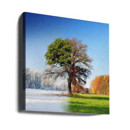 wall Art 4 seasons
