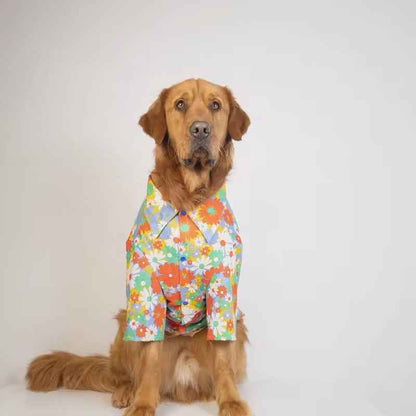 Merle Spring Shirt – Dog Shirt for Large Dogs