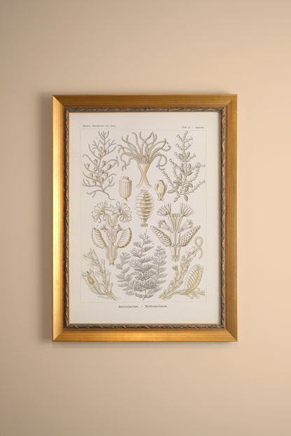 ESSENCE MARINE, CADRE VINTAGE OR