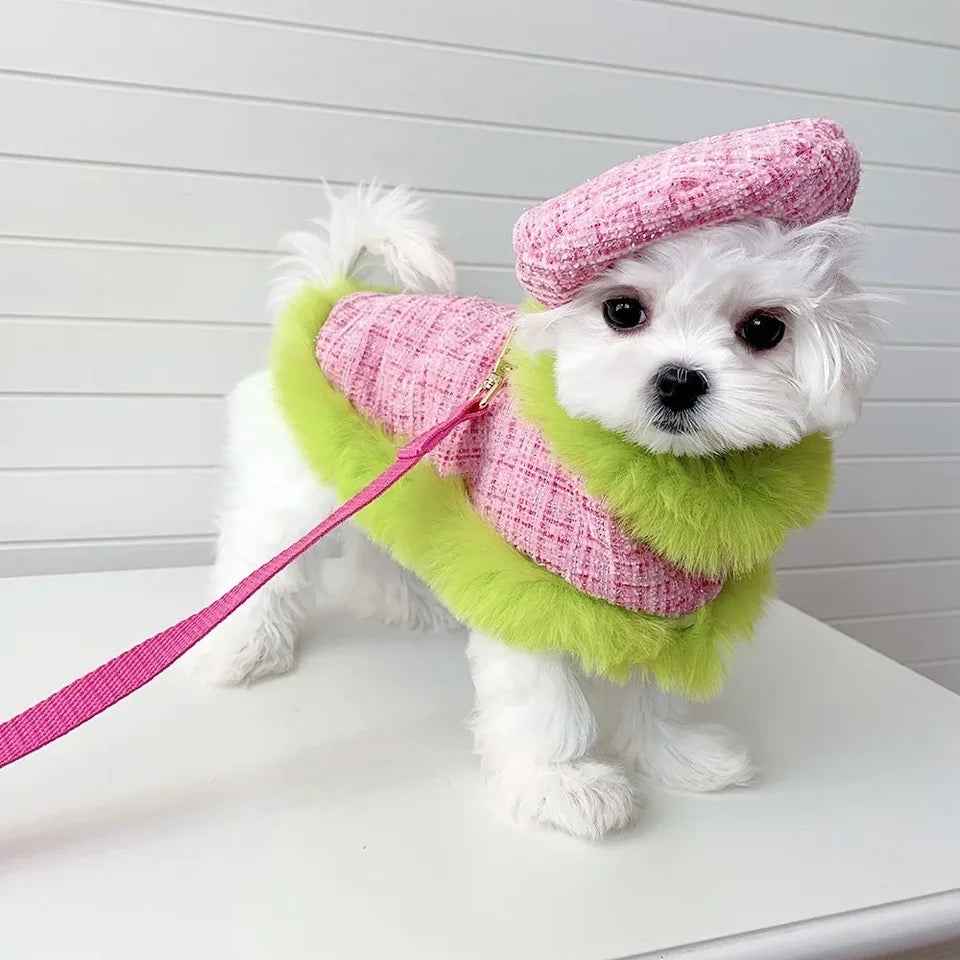 Plaid Harness Set | Dog Harness Leash and Hat Set