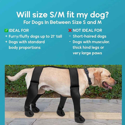 Dog Boots