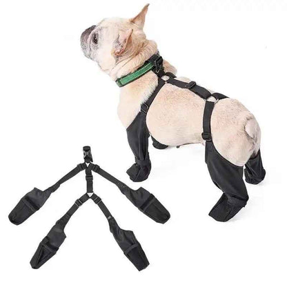 Suspender Dog Boots | Fashion Dog Boots with Suspenders