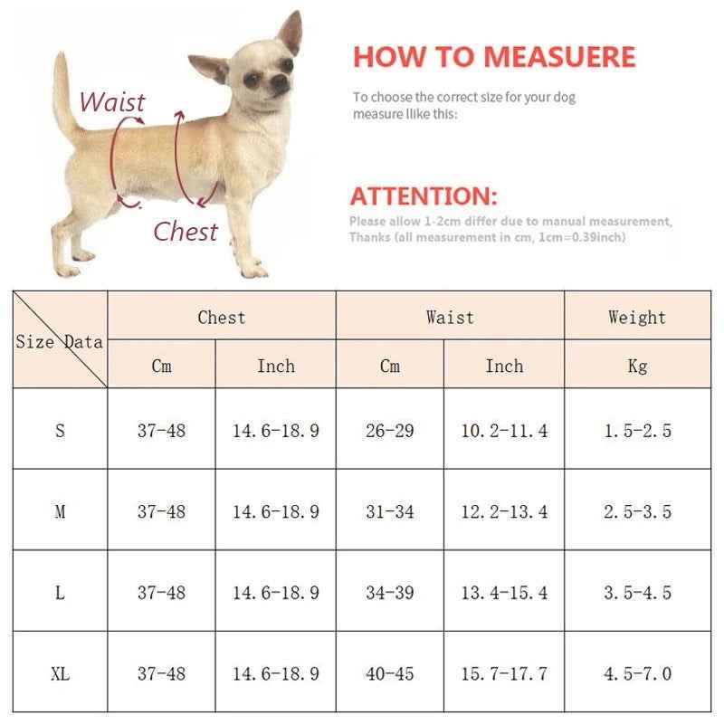 Lorelei Swimsuit