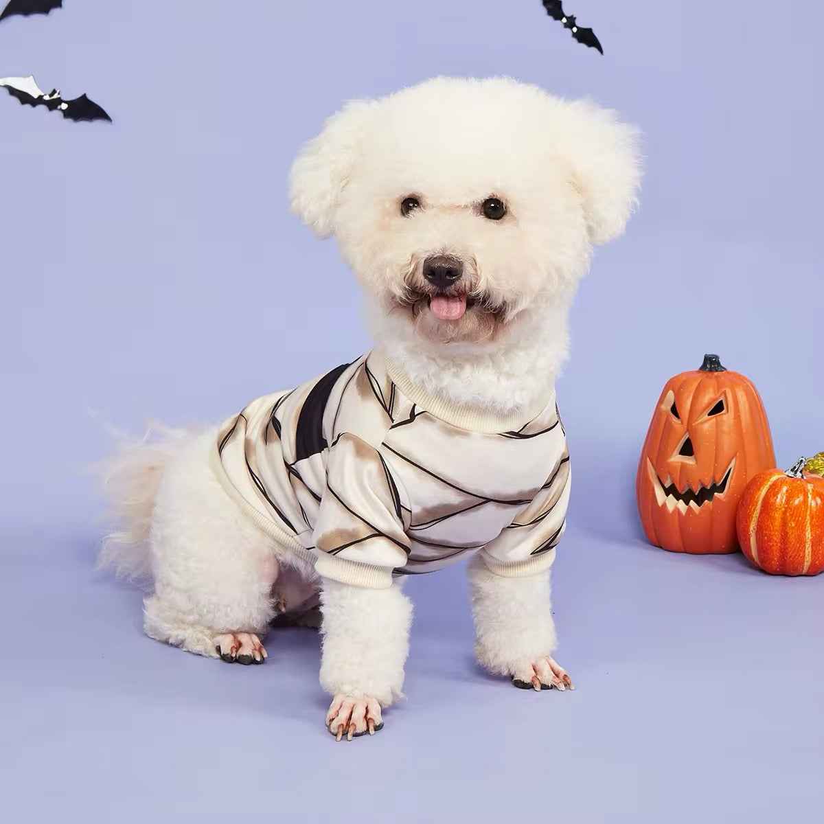 Mummy Dog Costume | Halloween Dog Costume