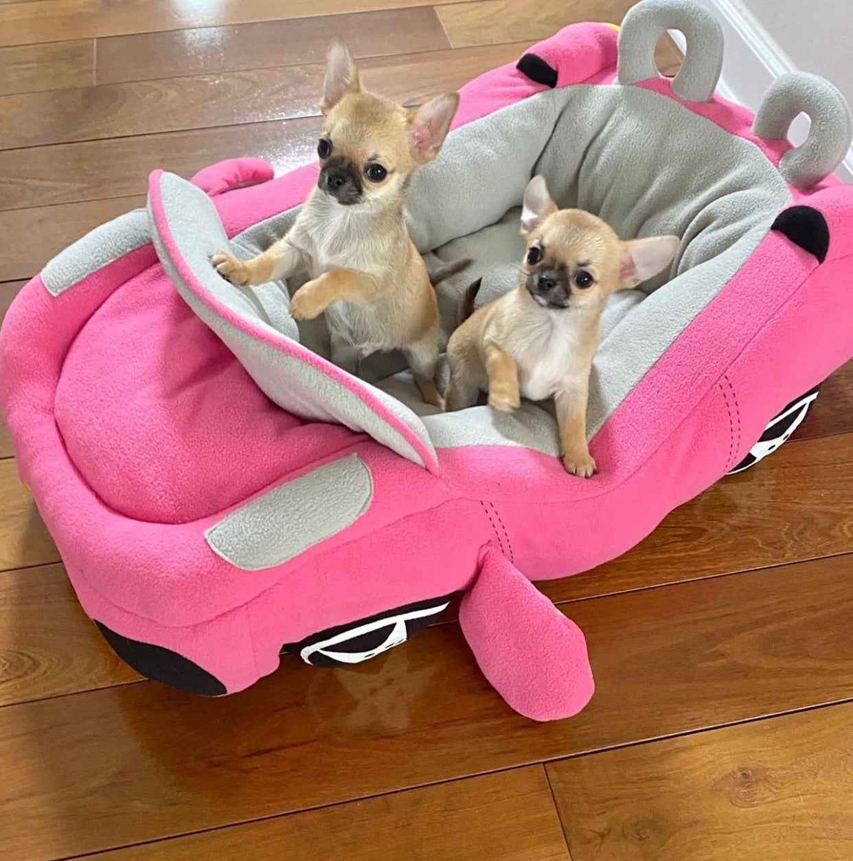 Babylicious Princess Bed – Luxury Dog Car Bed