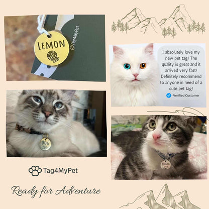 Cat Collar Abstract – Artistic & Personalized with ID Tag