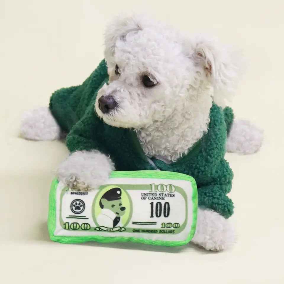 Dollar Dog Toy – Luxury Plush Money Toy for Dogs