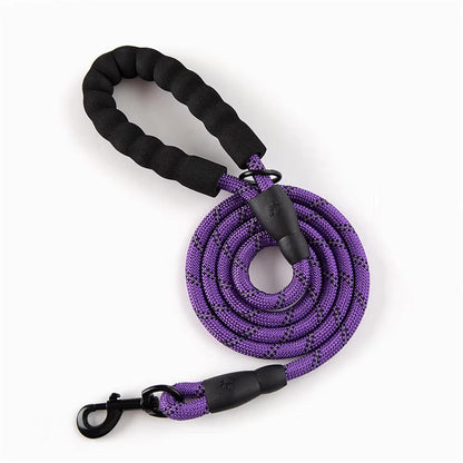 Reflective Dog Leash for Night Walks