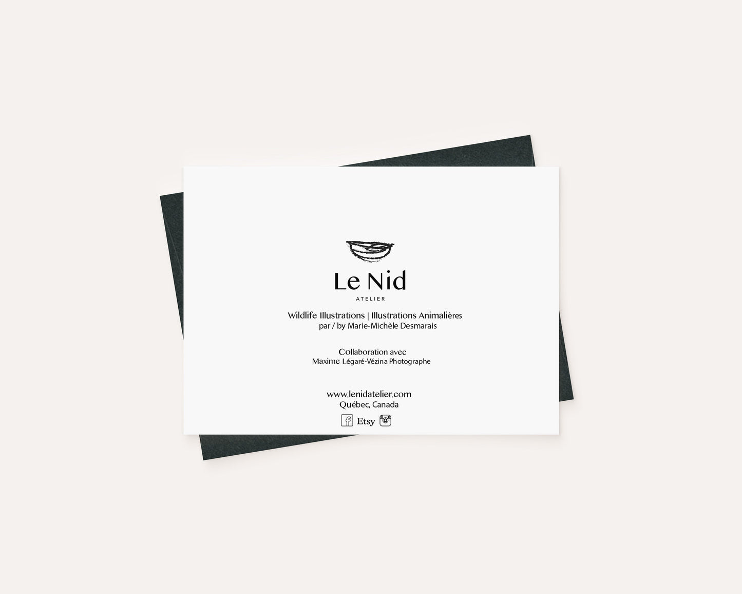 Bald Eagle  - greeting card
