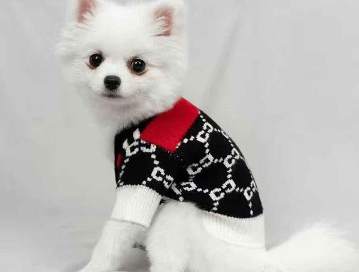 Gigi Dog Sweater | Knit Top