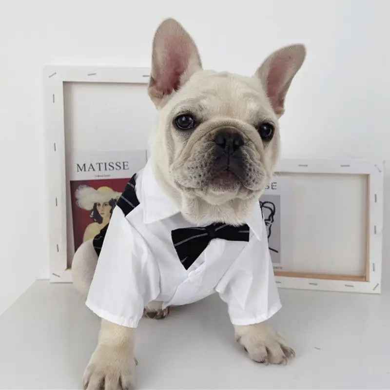 Tuxedog Suit – Luxury Formal Outfit for Dogs
