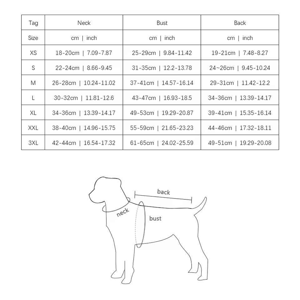 Pawda Hat and Dress Set – Dog Outfit Set