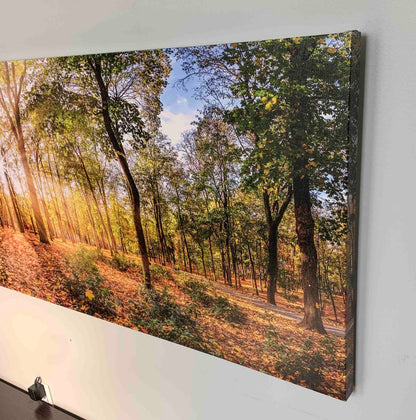 Canvas Print-Autumn Trees-Wall art