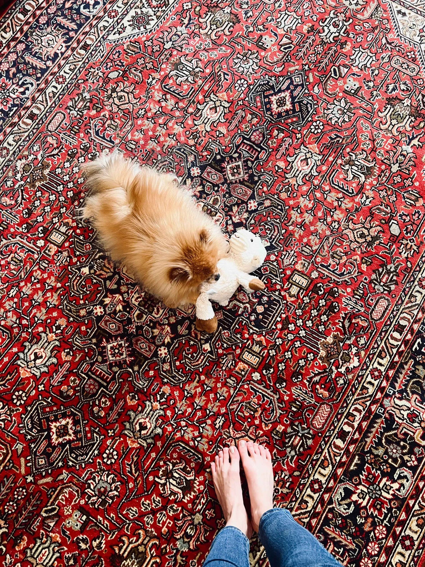 Persian Tabriz Azarshahr Rug | 9’ 8” x 6’ 4”