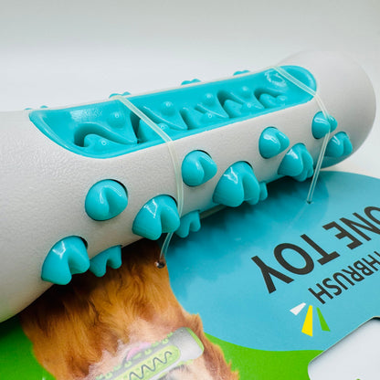 Dog Dental Health Chew Toy | Molar