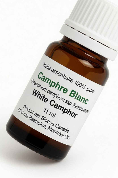 Camphre Blanc