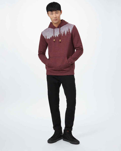 Constellation Juniper Hoodie