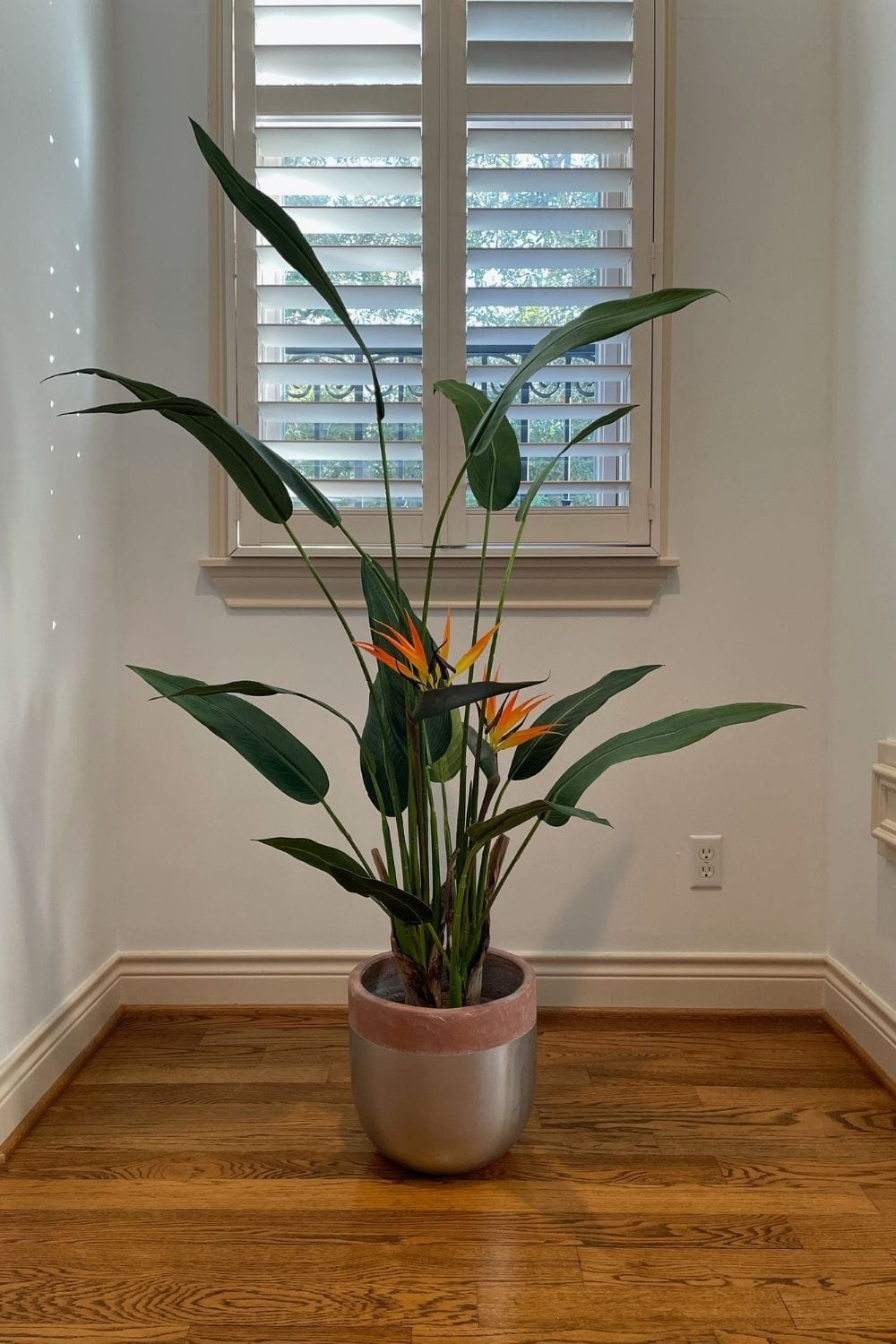 Camilo Glazed Planter 12''