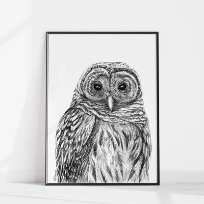 Barred Owl - Paper art Print