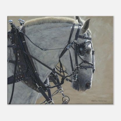 STEADY Canvas Print