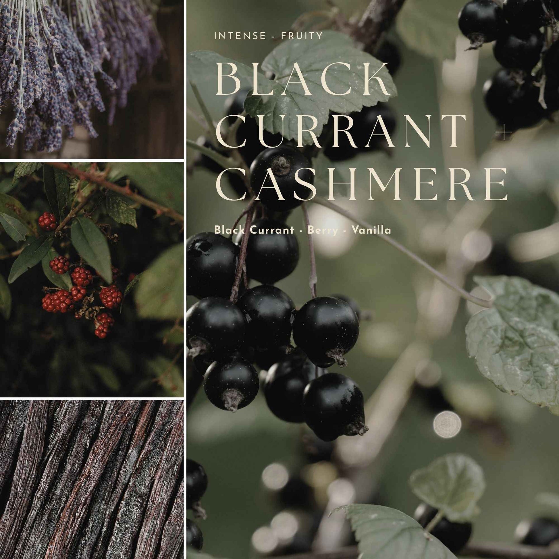 Gourmand, Fruit & Citrus Candles