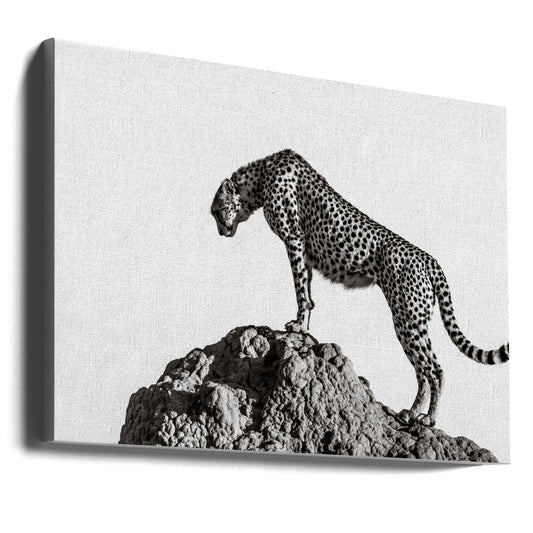 Wall Art the hunter