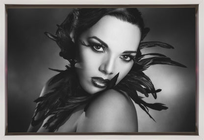 Wall art The black feathers