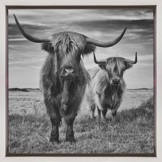 Wall Art Highlands
