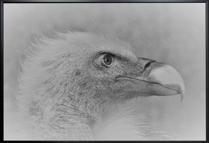 Wall art Bald eagle