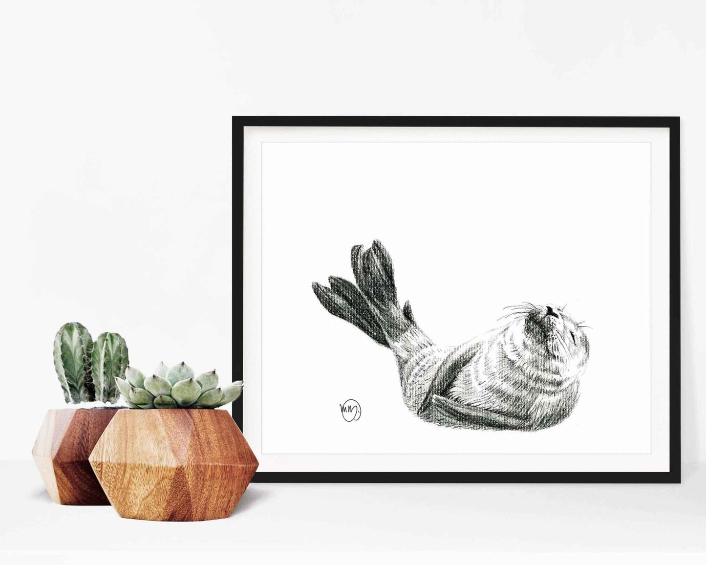 Cute Baby Seal,  Black and White Nursery Wildlife Art Print
