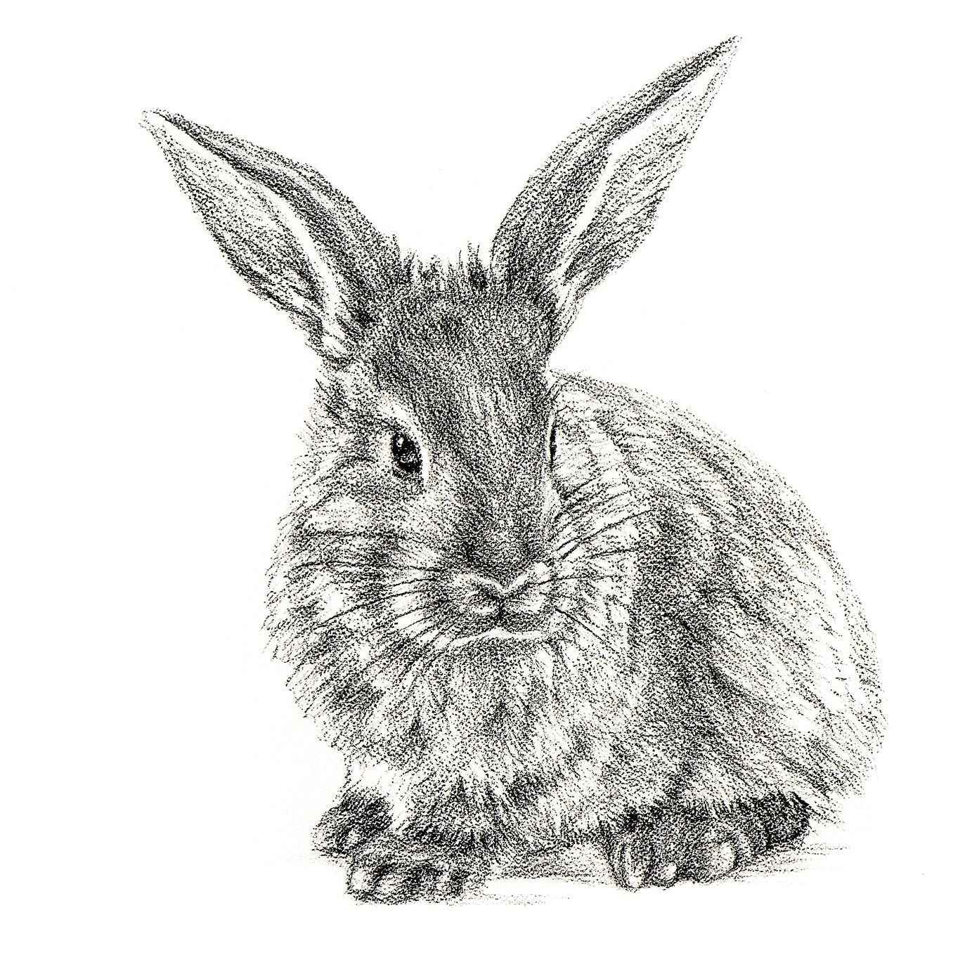 Cute Rabbit Profile - Black and White Nursery Wildlife Art Print